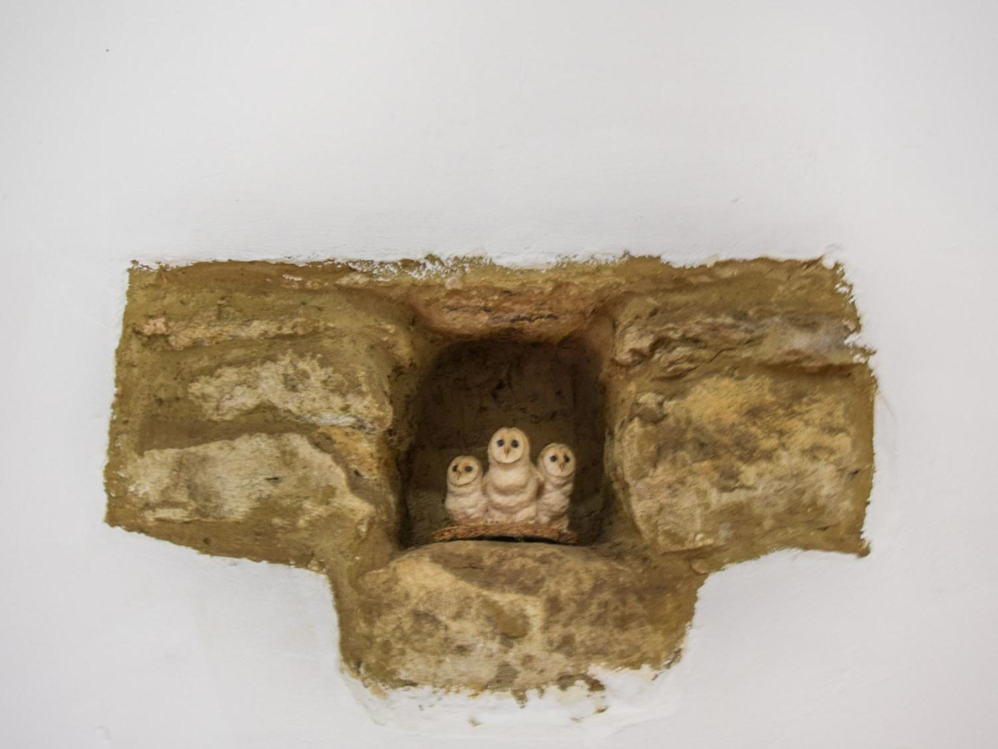 Butts Farm Villa Cirencester Bagian luar foto